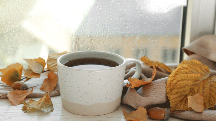 Teetasse am Fensterbrett mit Hernstlaub Copyright Panthermedia