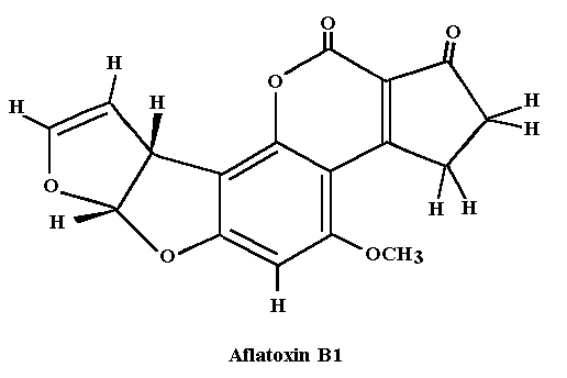 Chemischer Aufbau von Aflatoxin B1
