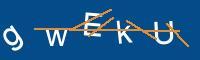 Captcha eingeben