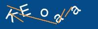 Captcha eingeben