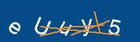 Captcha eingeben