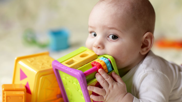 Baby das Plastikspielzeug in den Mund nimmt; Copyright Panthermedia